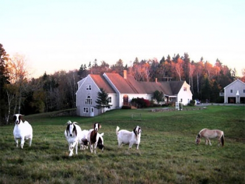 Pleasant Bay Bed and Breakfast and Lama Keep