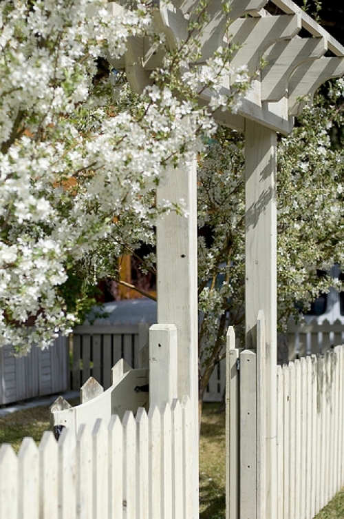 The Alpine House Lodge & Cottages